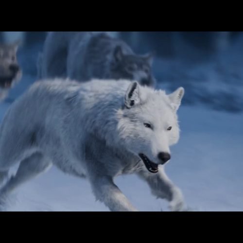 LOVE, DEATH + ROBOTS | VOL.4 | Netflix Blur LDR4 SOT 014