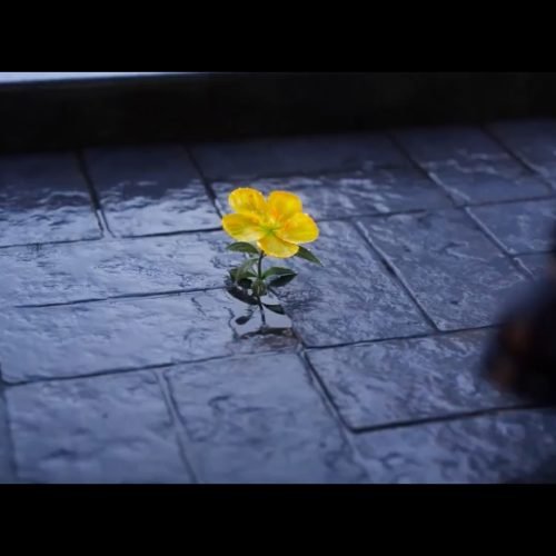 NIKKI AND THE GODS OF DREAMS | Papergames Nikki 012